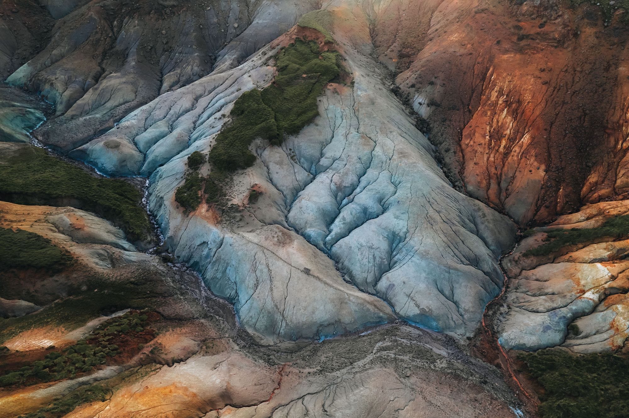 Grænihryggur - Rán Bjargar