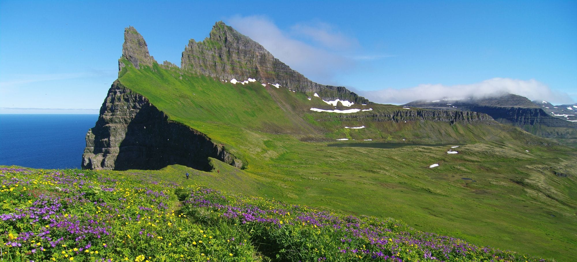 Hornstrandir Westfjords