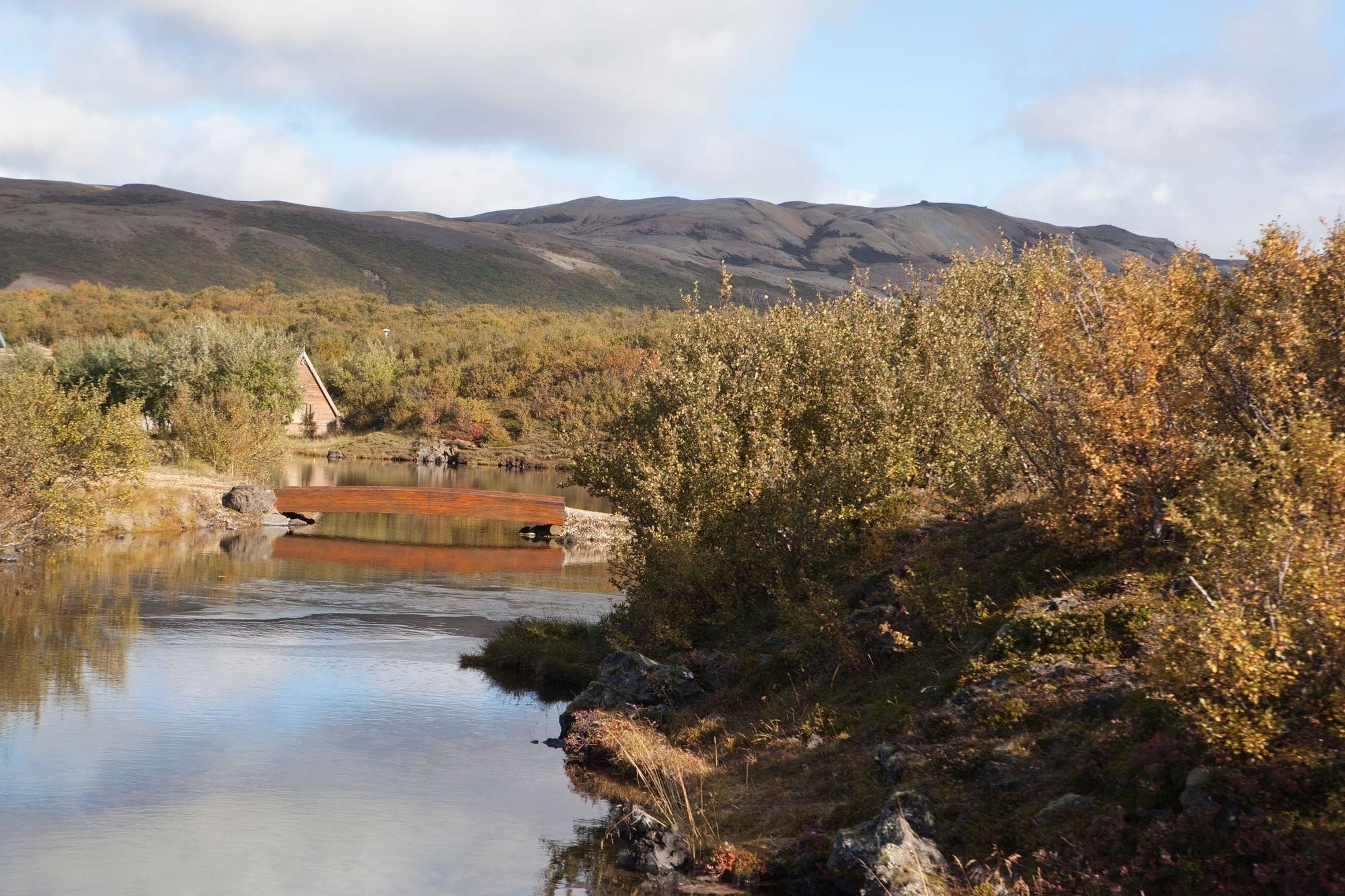 Husafell Birch Forest West Iceland - icer0ck