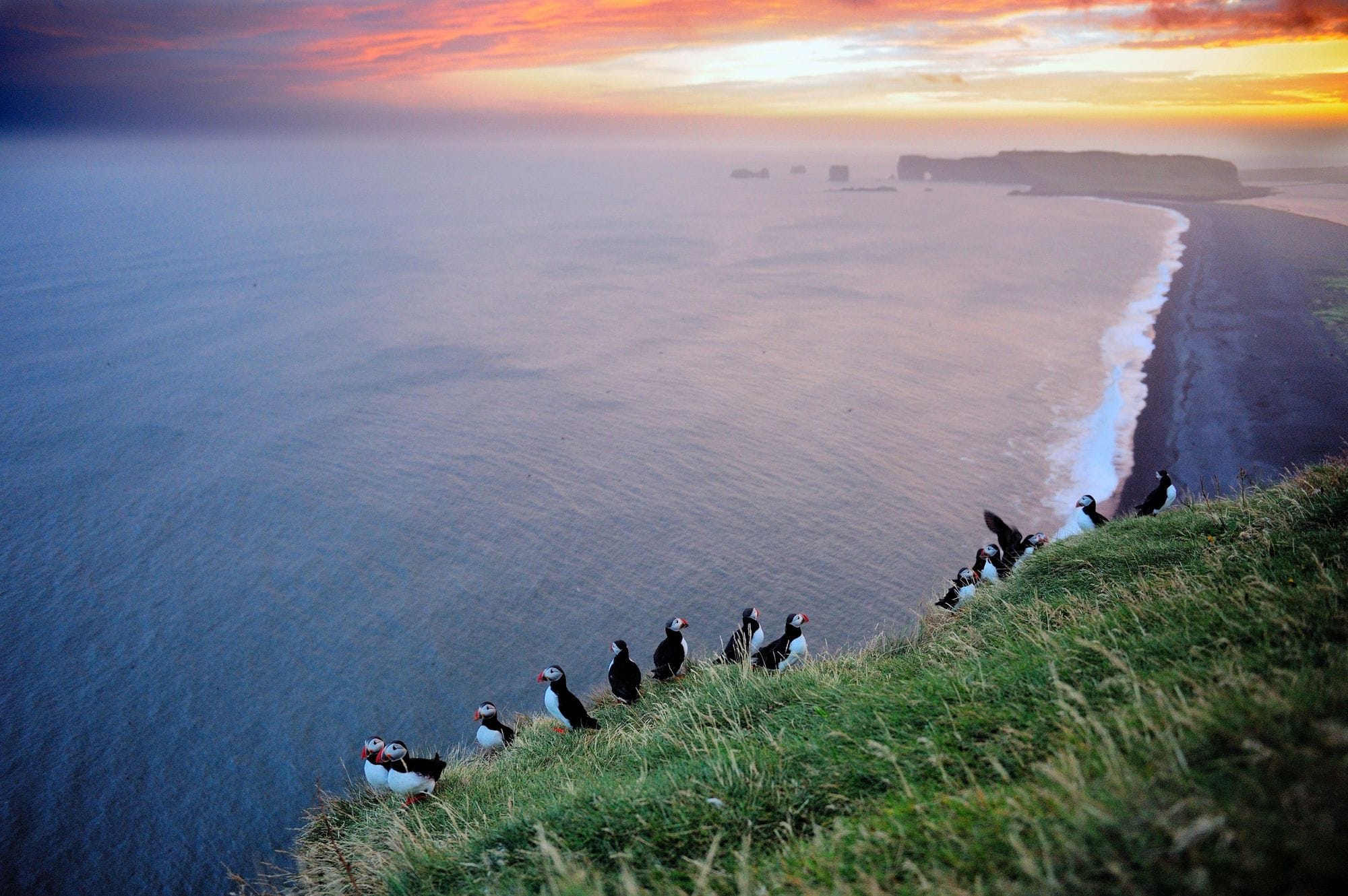 Reynisdrangar Vík South Iceland