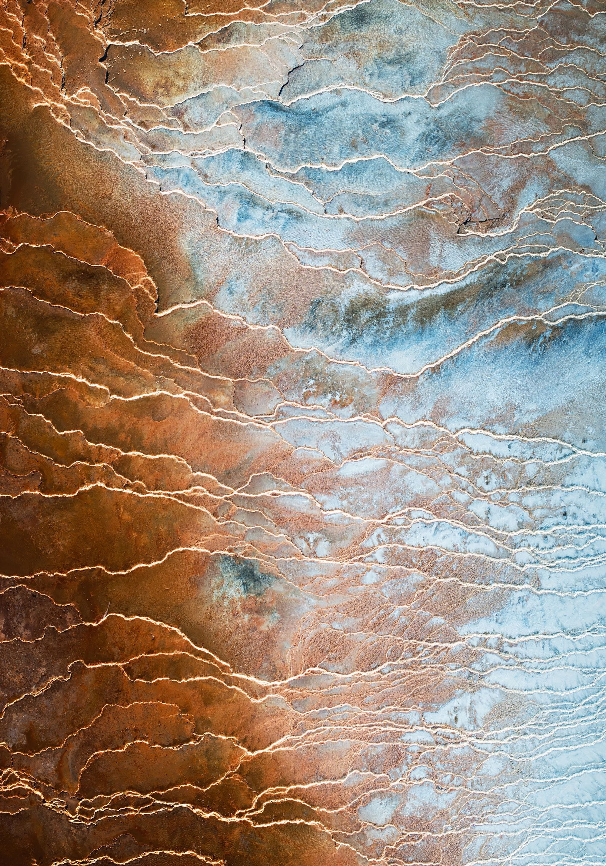 Rán Bjargar verðlaunamynd