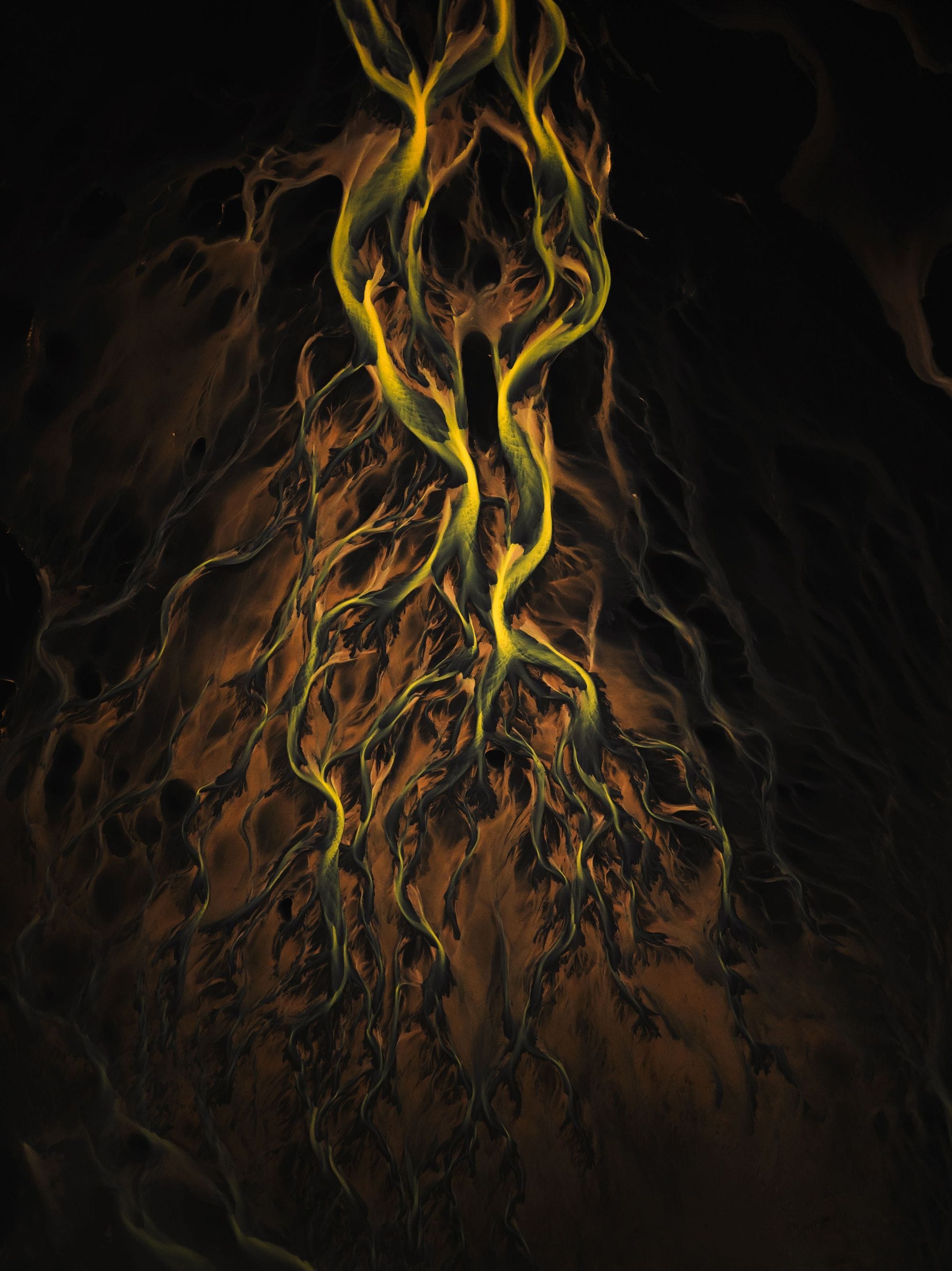 Rán Bjargar verðlaunamynd